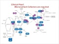 Introduction to Micronutrient Testing: Patterns and Pearls