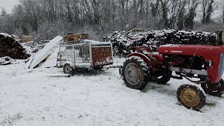 nouvelle année, dans la neige en Massey 821 😁