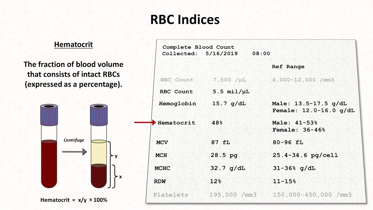 Hemoglobin And Hematocrit Normal Values