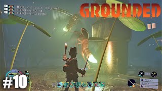 #10 Grounded シーズン2　ホタルを発見　虫ハンマーなどを作成