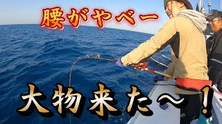 巨大魚が釣れる夢の海！【大分遊漁船そうやまる】