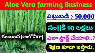 Aloe Vera farming Business.High profit Business idea.Self employment Telugu business ideas.