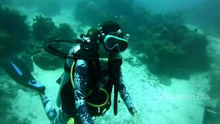 DIVING DI CALIFORNIA REEF, SULTENG INI MENAKJUBKAN BANGET! | MY TRIP MY ADVENTURE (31/1/21) P3