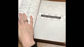 NLT Discover God Study Bible