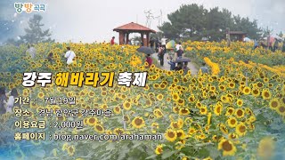 [영상구성] 방방곡곡 / 연합뉴스TV (YonhapnewsTV)