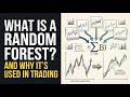 What Is a Random Forest? (And Why It's Used in Trading)