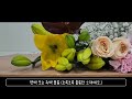 졸업식꽃다발 장미100송이가격 꽃도매 백합 거베라 장미 안개꽃 카네이션