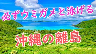 沖縄旅行で100％ウミガメと泳げる最高の離島を紹介します【沖縄移住】