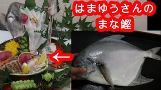 真魚鰹（まながつお）　姿造り～まかない　はまゆうさん