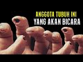 Kamu Tidak Bisa Mengelak! Anggota Tubuh Ini Yang Akan Bersaksi di Hari Kiamat Nanti