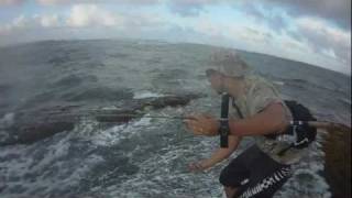 BSFO - December 21, 2011 Fishing @ Beach Near Camp Mokuleia (Seven's Blue Papio)