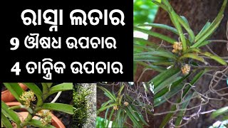 ରାସ୍ନାର 9 ଔଷଧ ଉପଚାର 4 ତାନ୍ତ୍ରିକ ଉପଚାର