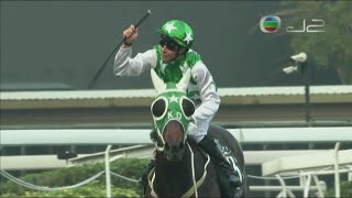 2018 QEII Cup 香港女皇杯 - 巴基之星 (Pakistan Star) (UP主解说)