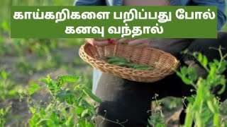 காய்கறிகளை பறிப்பது போல் கனவு வந்தால் l If you dream of picking vegetables l #kanavupalangal