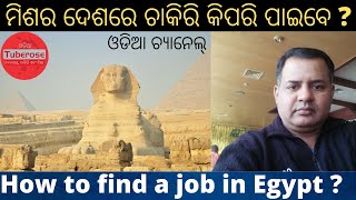 ଇଜିପ୍ଟ ଦେଶରେ ଚାକିରି କିପରି ପାଇବେ ? How to Find a Job in Egypt . Tuberose Corporation Oriya #Jobs