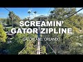 Screamin' Gator Zipline | Gatorland Orlando