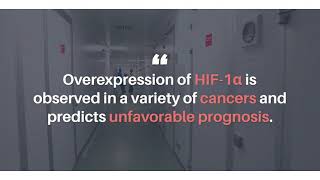 Oncotarget: Smurf2 Regulation of HIF-1α in Cancer Cells