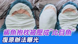 【每日必看】IKEA鯊魚抱枕 每晚被壓變\