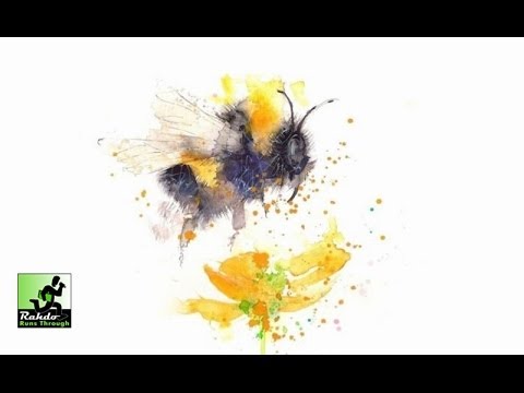 Nimbee Update Youtube