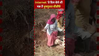 Internet 'ਤੇ ਇਸ ਵੇਲੇ ਦੀ ਸਭ ਤੋਂ ਖੂਬਸੂਰਤ ਵੀਡੀਓ | #shorts | News18 Punjab