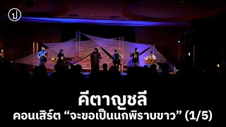 คีตาญชลี | คอนเสิร์ต \