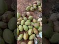 தேங்காய் இன்றைய விற்பனை விலை ரூ.24 கிலோ today coconut selling price is rs.24 kg on 23 07 2023 @ngl.