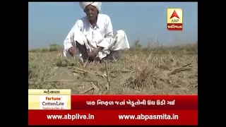 Mudda Ni Vat : Mehsana district farmers news