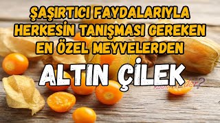 Şaşırtıcı Faydalarıyla Herkesin Tanışması Gereken En Özel Meyvelerden | Altın Çilek