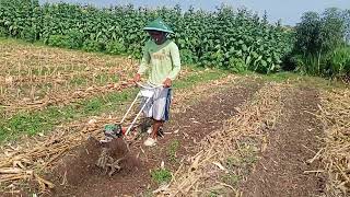 modifikasi mesin rumput jadi alat bajak sawah