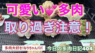 【多肉植物】【ガーデニング】可愛い子💕増やします❗️    多肉大好き！なりちゃんパパ　多肉奮闘記その404