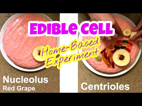 How do you make an edible cell?