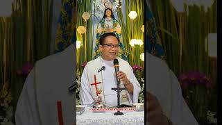 SUNDAY HOMILY in Honor of Nuestra Senyora Delapaz || Rev.Fr. Agerio Paña