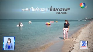 Green Report : ลงพื้นที่ไขคำตอบ ขี้ปลาวาฬ หาดบางแสน