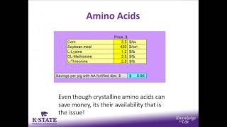 Keeping Up with Diet Formulation with Rapidly Changing Ingredient Prices