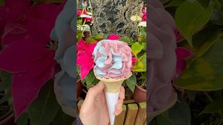 官心你的食衣住行育樂🍦 2025年1月23日 苗栗 🍨 玫瑰 Rose 花型 全台灣 最夯 最紅 洗版 IG 繡球花 霜淇淋 花露休閒農場 ice cream 冰淇淋 一秒到日本 チョコレート 초콜릿