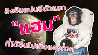 Meet Ham, the first chimpanzee to go to space.