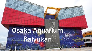 Osaka Aquarium Kaiyukan - incredible | Am i in the ocean?