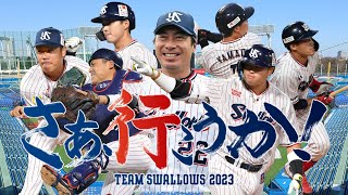 【東京ヤクルトスワローズ】2023全選手応援歌メドレー 開幕版【AIきりたん】