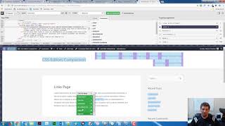 CSS WordPress plugin comparison