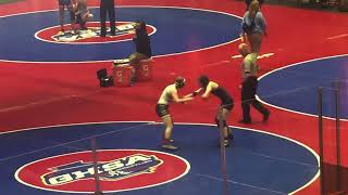 132-state quarterfinals//girls high school wrestling