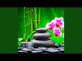 Tranquility (Nature Sounds)