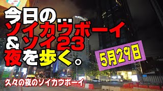 【世界の遊び場】 5月29日 今日のソイカウボーイ 夜を歩く