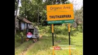 Tribal family living alone in forest, lost job as estate acquired by government Nelliyampathy