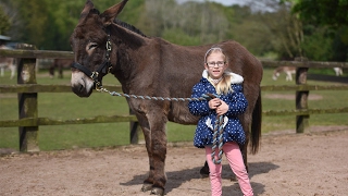Therapy Donkey Helps Girl To Speak