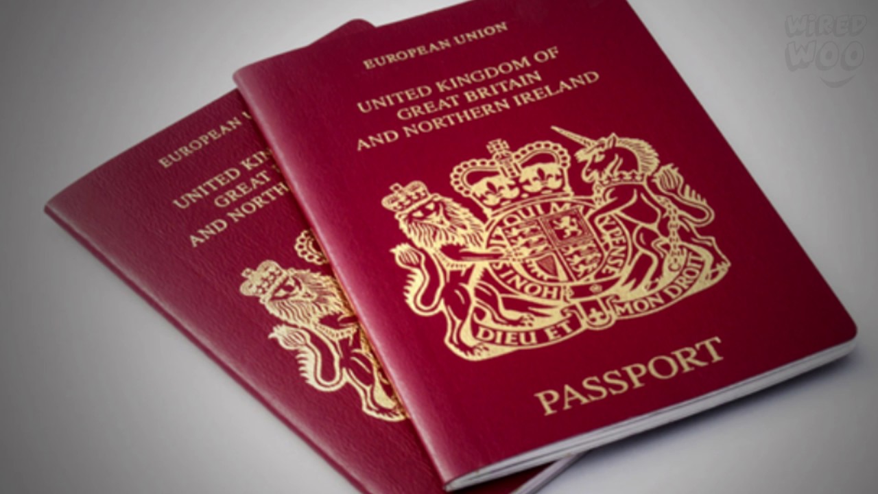 In The World, There Are Only FOUR Passport Colours And Each One Means ...