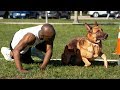 Download Dog vs Human Sprinting - Who's Faster? In Mp4 3Gp Full HD Video