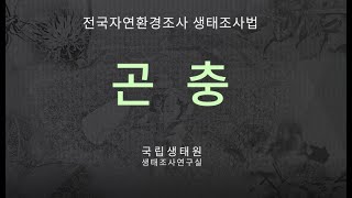 생태조사법 곤충: 국립생태원