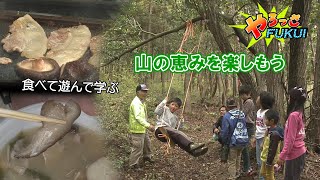 やろっさFUKUI「山の恵みを楽しもう！」（2018年11月16日更新）