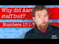 Why did Aaron’s staff bud? - Numbers 17:1-7