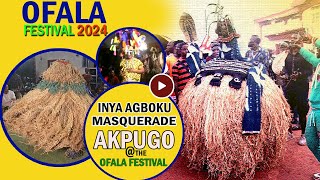 Masquerades from Akpugo pay homage to Igwe Ibagwa Nike on Ofala festival celebration